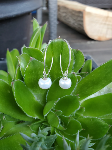 Timeless Earrings