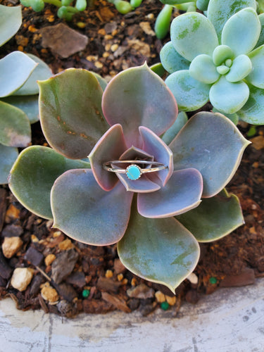 Turquoise Dream Band