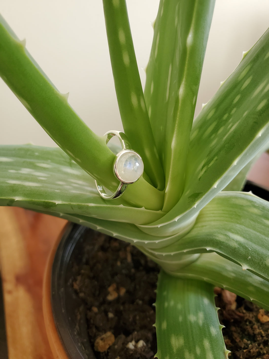 Simple Moonstone Band