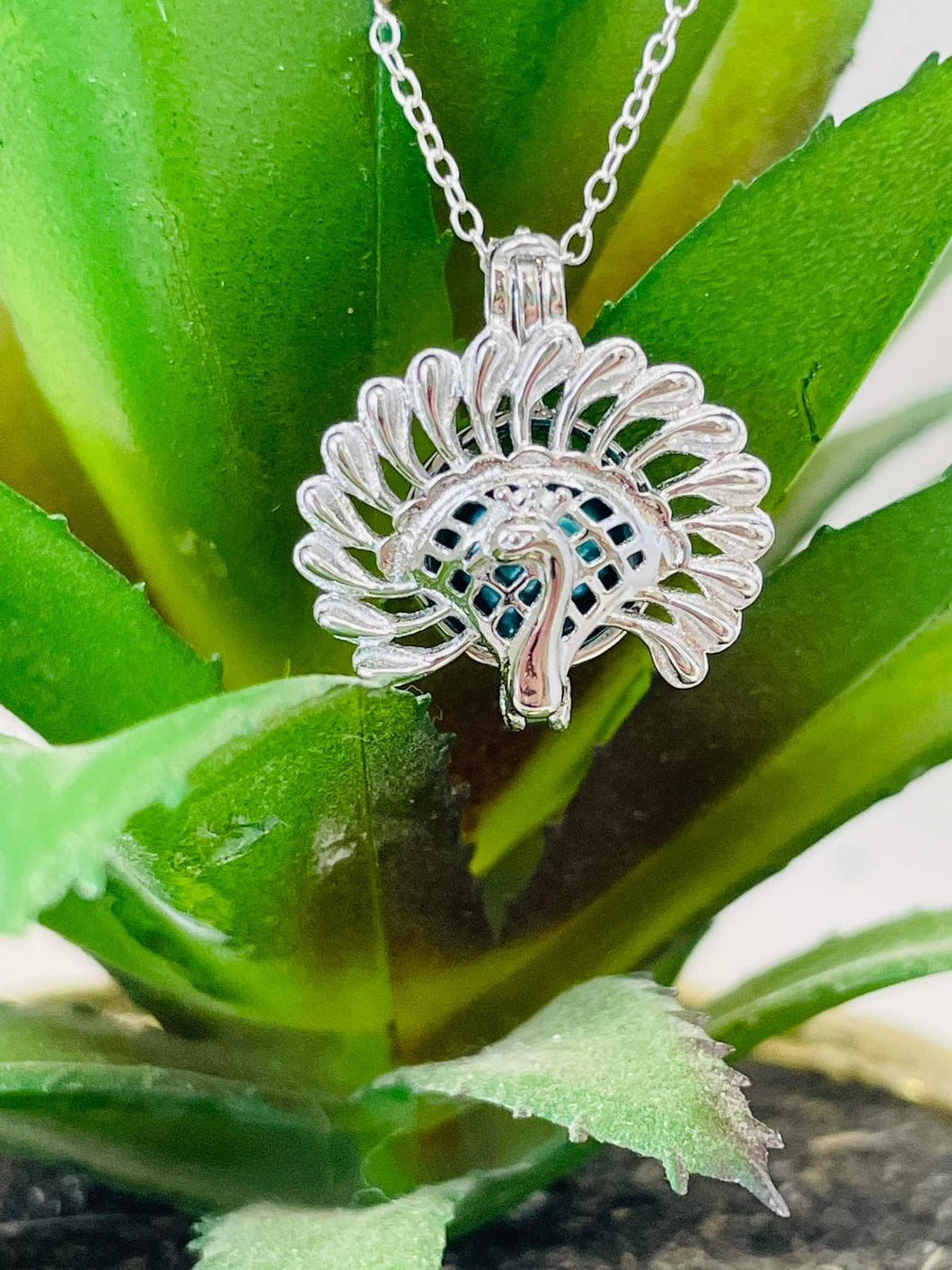 Peacock Cage