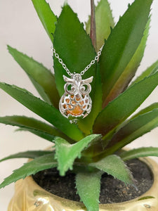 Spotted Owl Cage