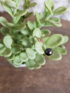 WaterMark_2019-04-10-08-50-06.jpg