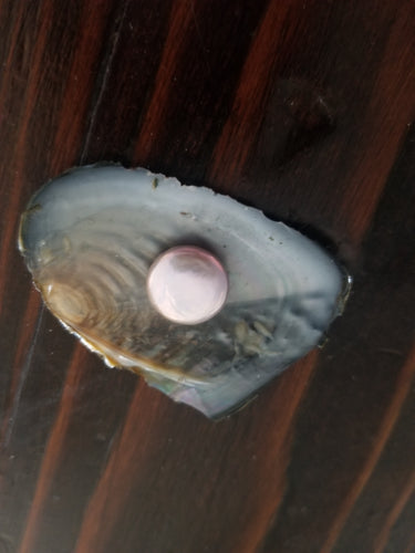 20190308_121311.jpg