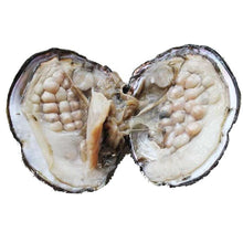 Load image into Gallery viewer, 514840_6eaddd0bc4194722a2158d55bc28d181~mv2.jpg