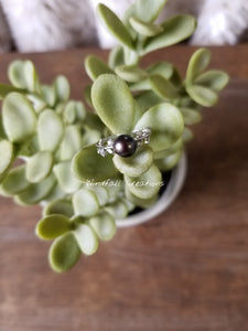WaterMark_2019-07-02-10-27-21.jpg